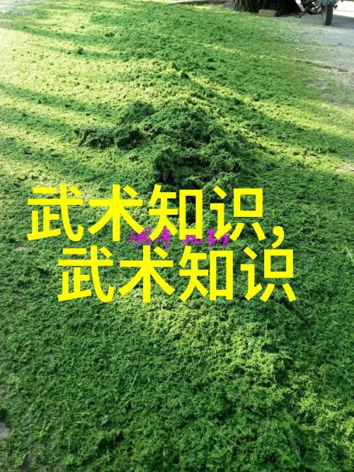 世界上最强武功秘籍古老咒语与内力修炼