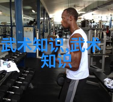 藏于尘封之中的秘籍如何找到失传千年的武学宝典