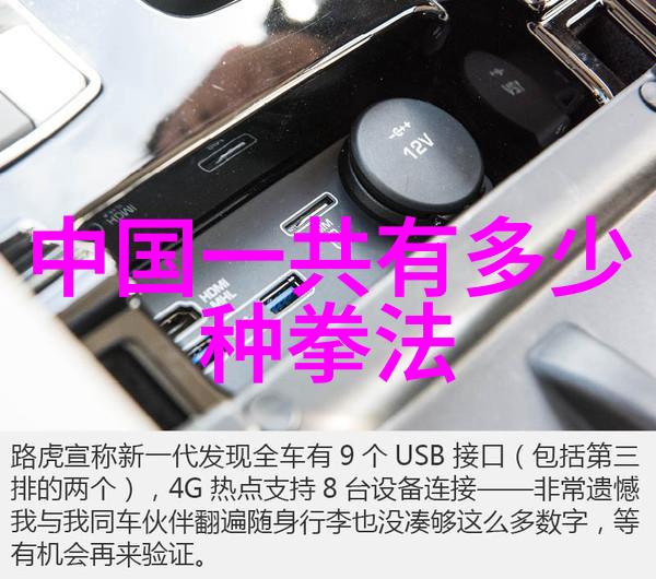 武林高手揭秘中国功夫门派实战力