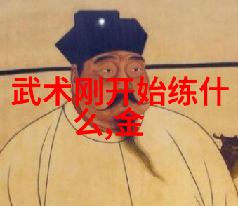 在太极拳的道路上你是否已经尝试过学习24式的精髓如果你还在寻找一本详尽的自学图解那么你的心意或许已经