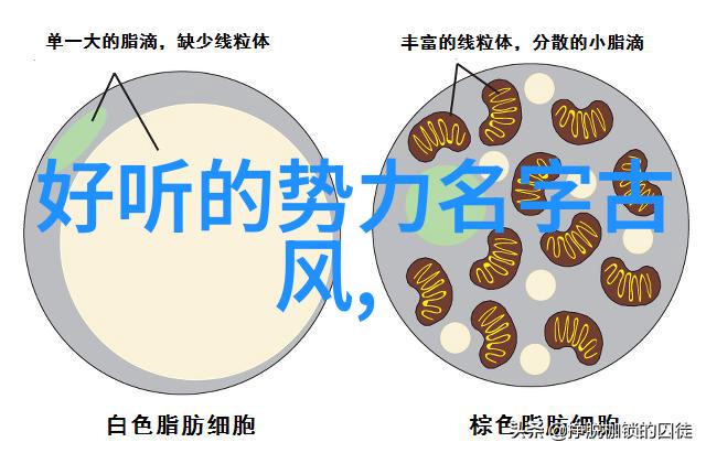 太极拳精髓探究揭秘24式动作名称的奥义
