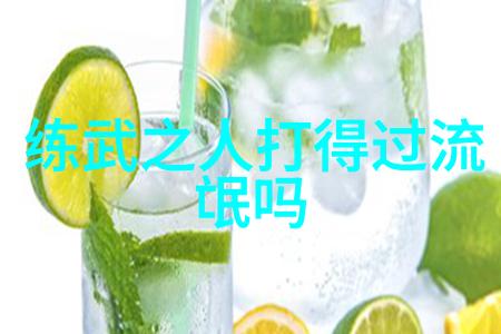 仙境之谜杨式太极拳秘籍