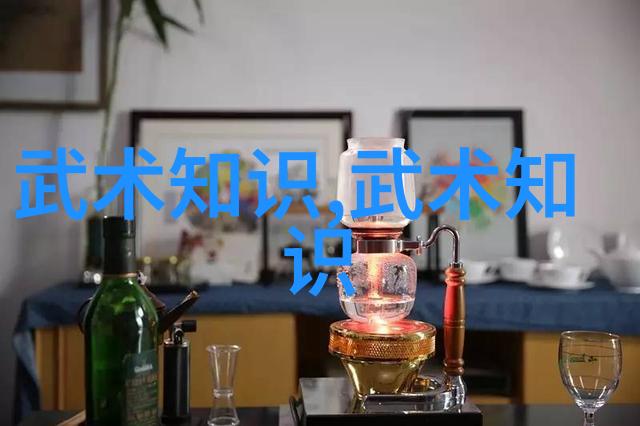 德国拳师探索成都太极风尚武学之旅中的12式精髓-济成