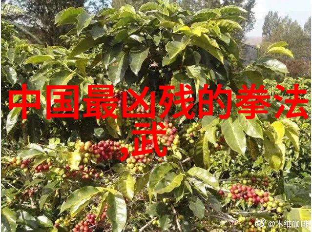 母亲話動漫妈妈的秘密动画世界
