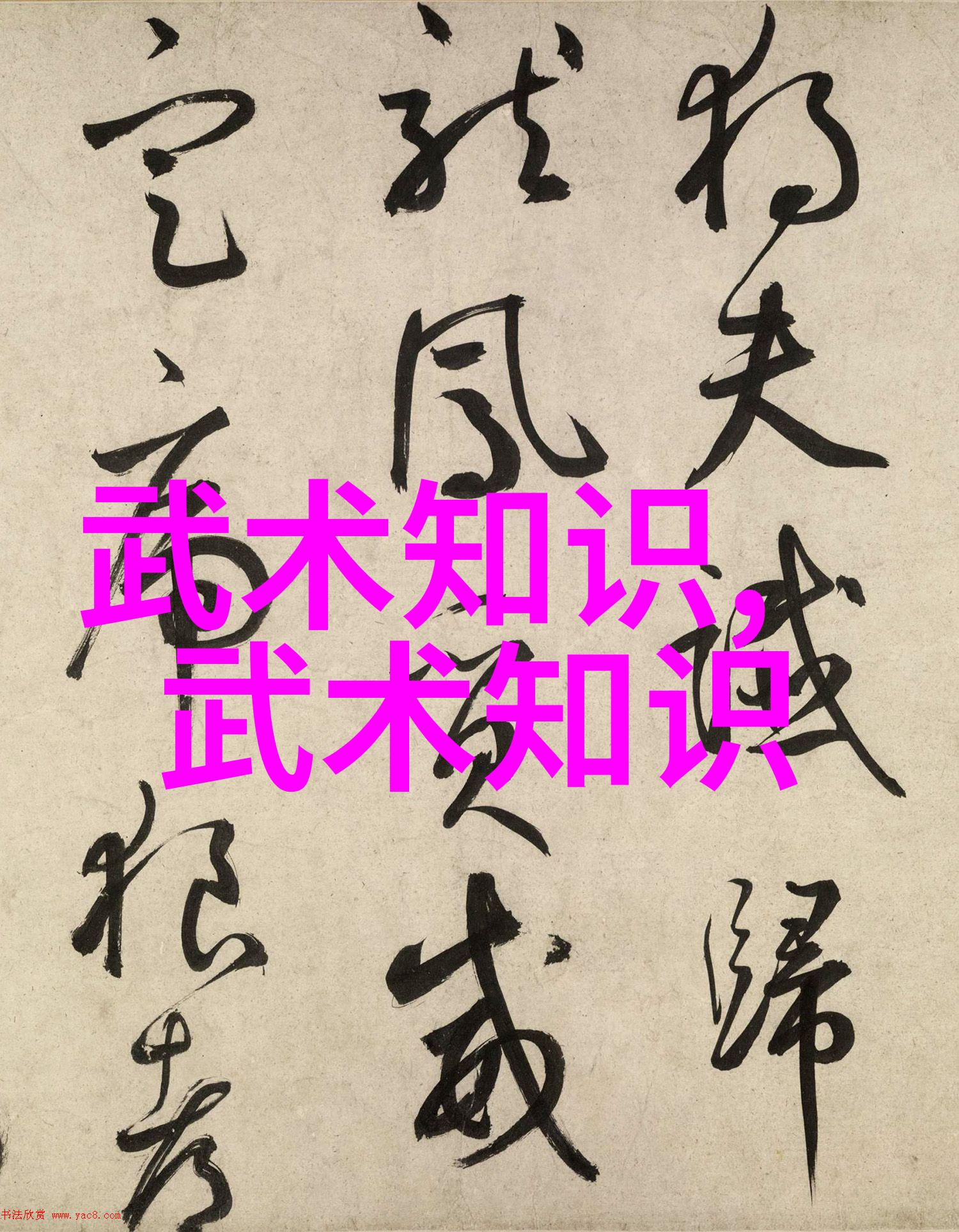 探秘太极24式揭秘正面与背面的内在智慧