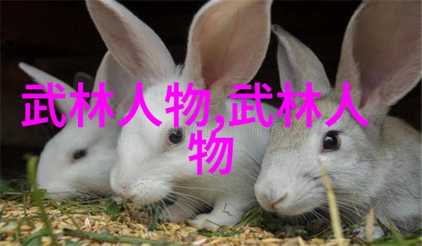 江湖争霸古代门派间的恩怨情仇