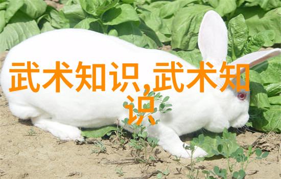 古风仙盟梦回旧时之名