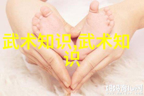 入门拳法掌握基本招式的艺术