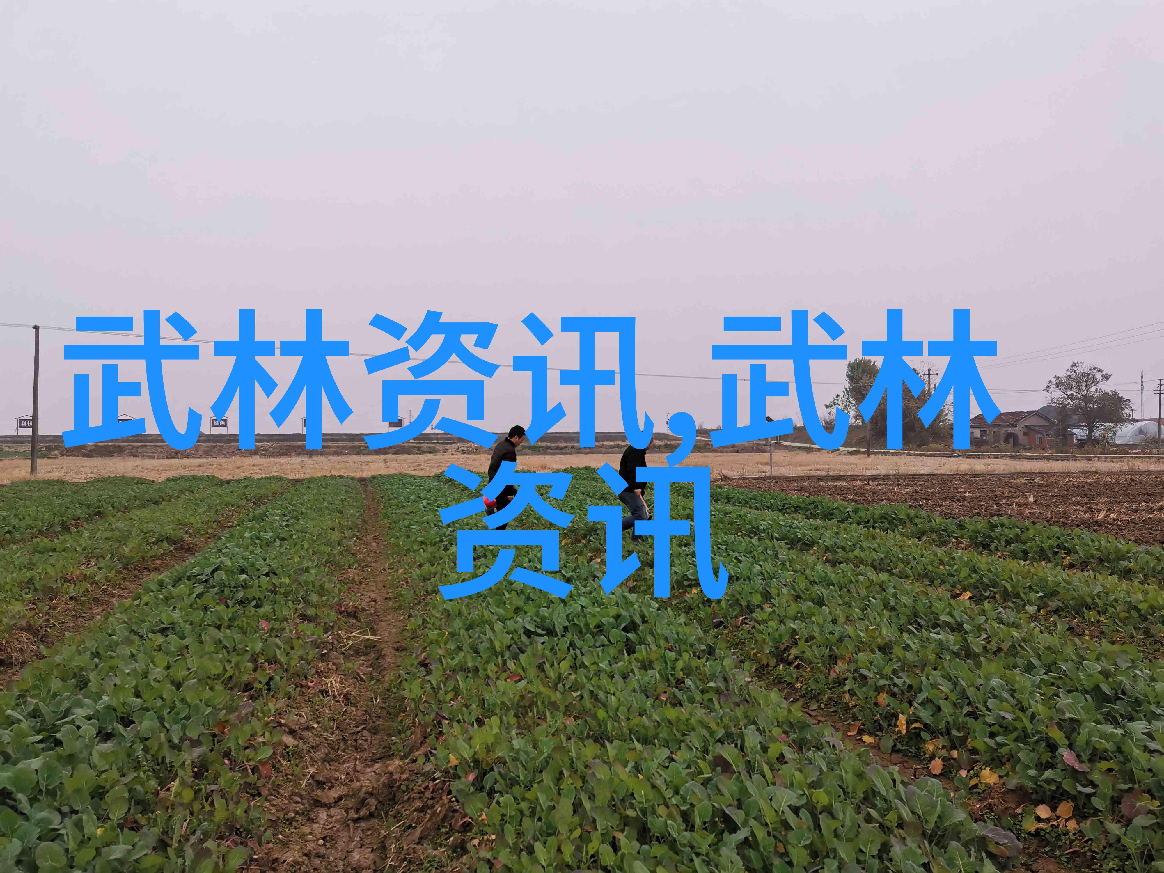 李小龙功夫教学视频解析揭秘武术经典的训练方法与哲学