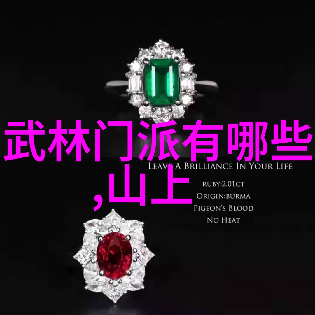 中国功夫的哲学根源道德意志与身体的和谐统一