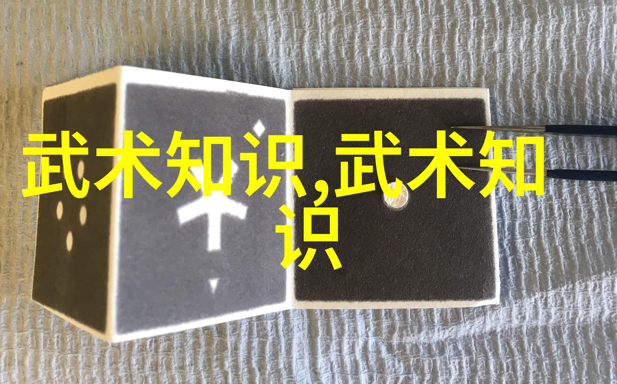 古代武术训练之道磨砺身心的艺术与实践
