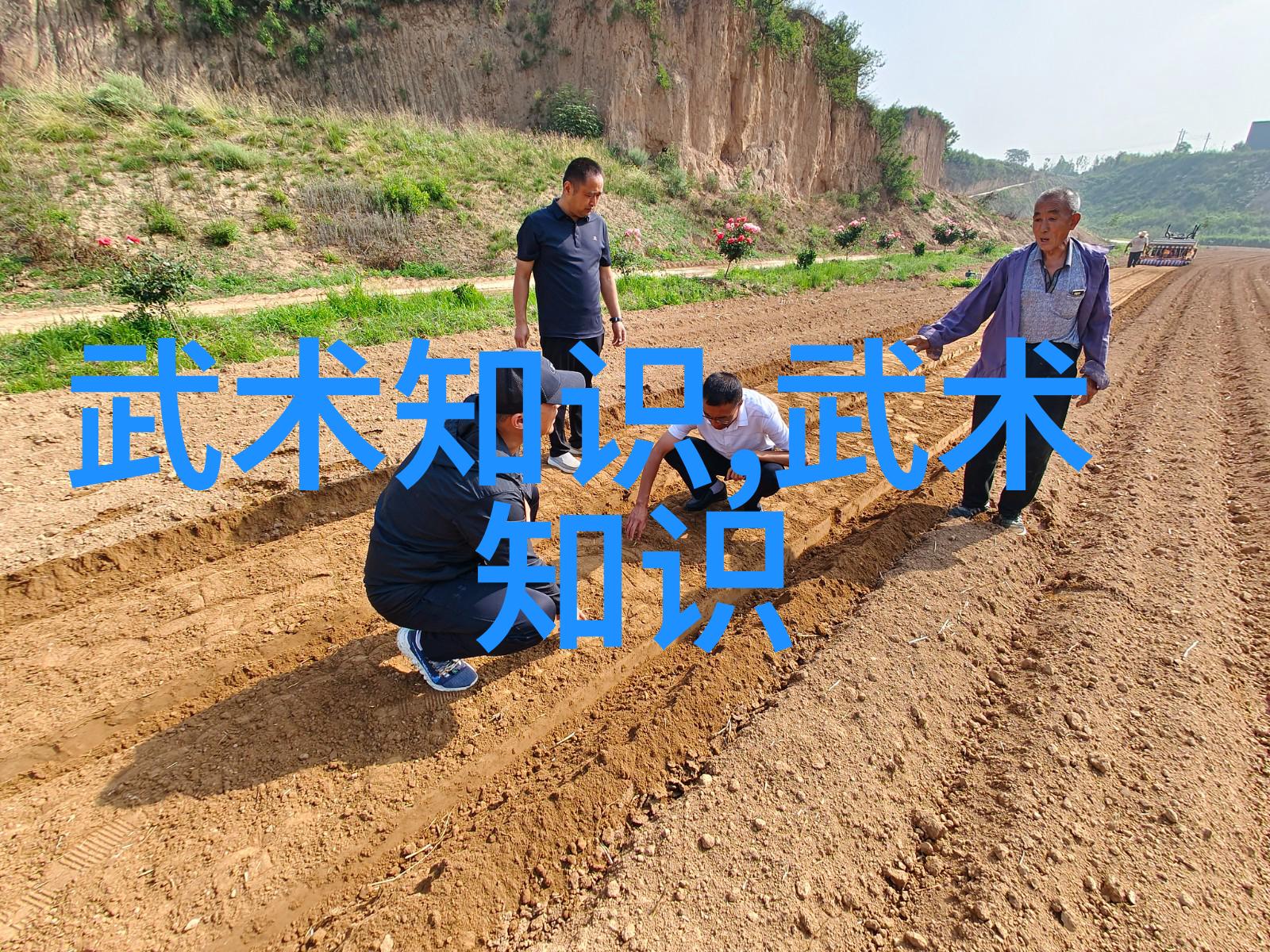 星级猎人我的冒险从新手到星级猎人的奇遇