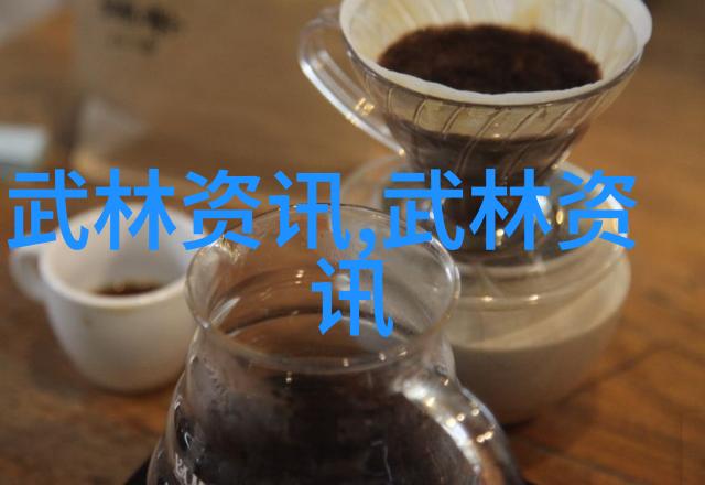 探索内功外形深入浅出太極拳24式圖解教程