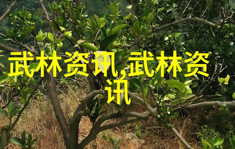 肾病饮食滋养双肾健康生活