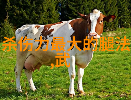 翠华帮倾城叶式太极拳