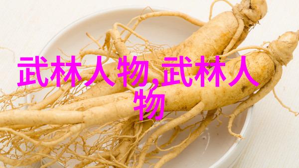 身法秘籍名称内功外化之路