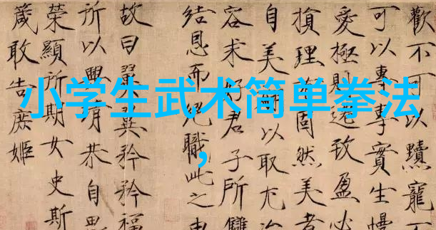 初学武术套路拳法我是怎么学会那一套精彩绝伦的武术套路拳法的