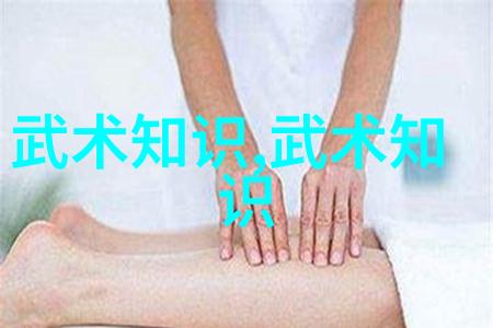 从文字到动作走进武侠世界 武林秘籍全集解读