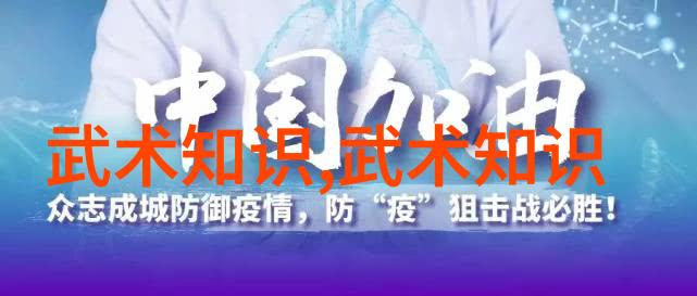 从兵器到心法古代武功秘籍中蕴含的哲学思考