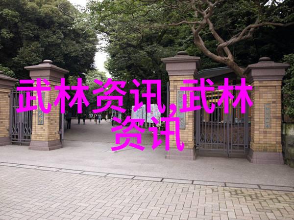 武术修炼艺术探究内功与外形的协调演绎