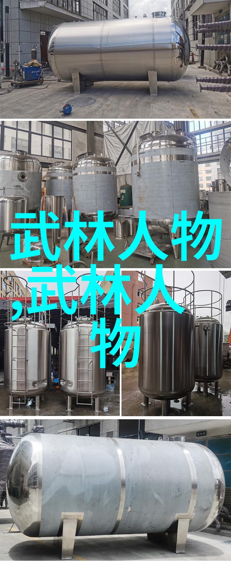 武林秘笈中国30大门派的辉煌与沉淀
