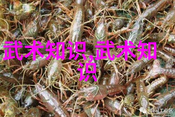 古筝与电吉他传统武术与现代武术的幽默对决