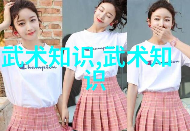 武林三十流派精华探秘