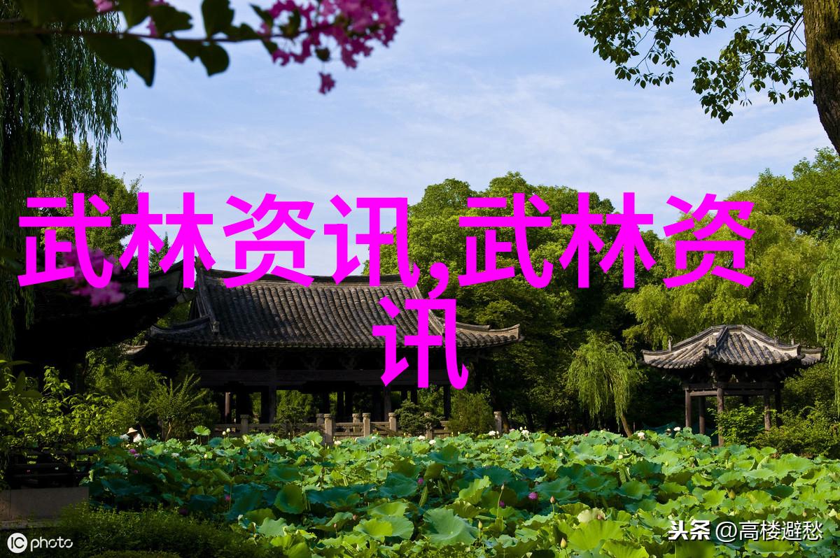 武林绝学追踪古代最强武功的传说