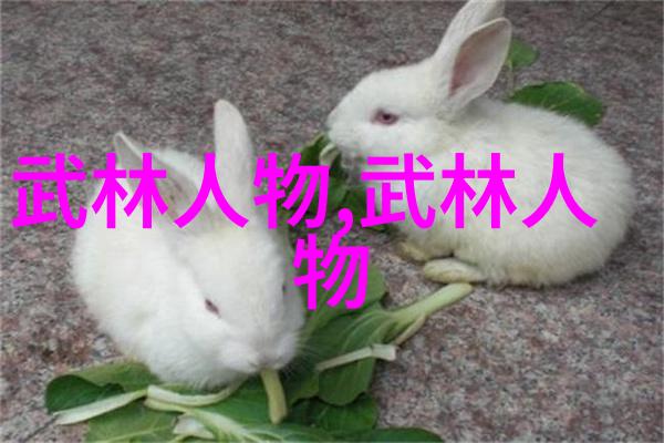 在社会的健身健美潮流中偏胖人群需谨慎选择补充增肌粉