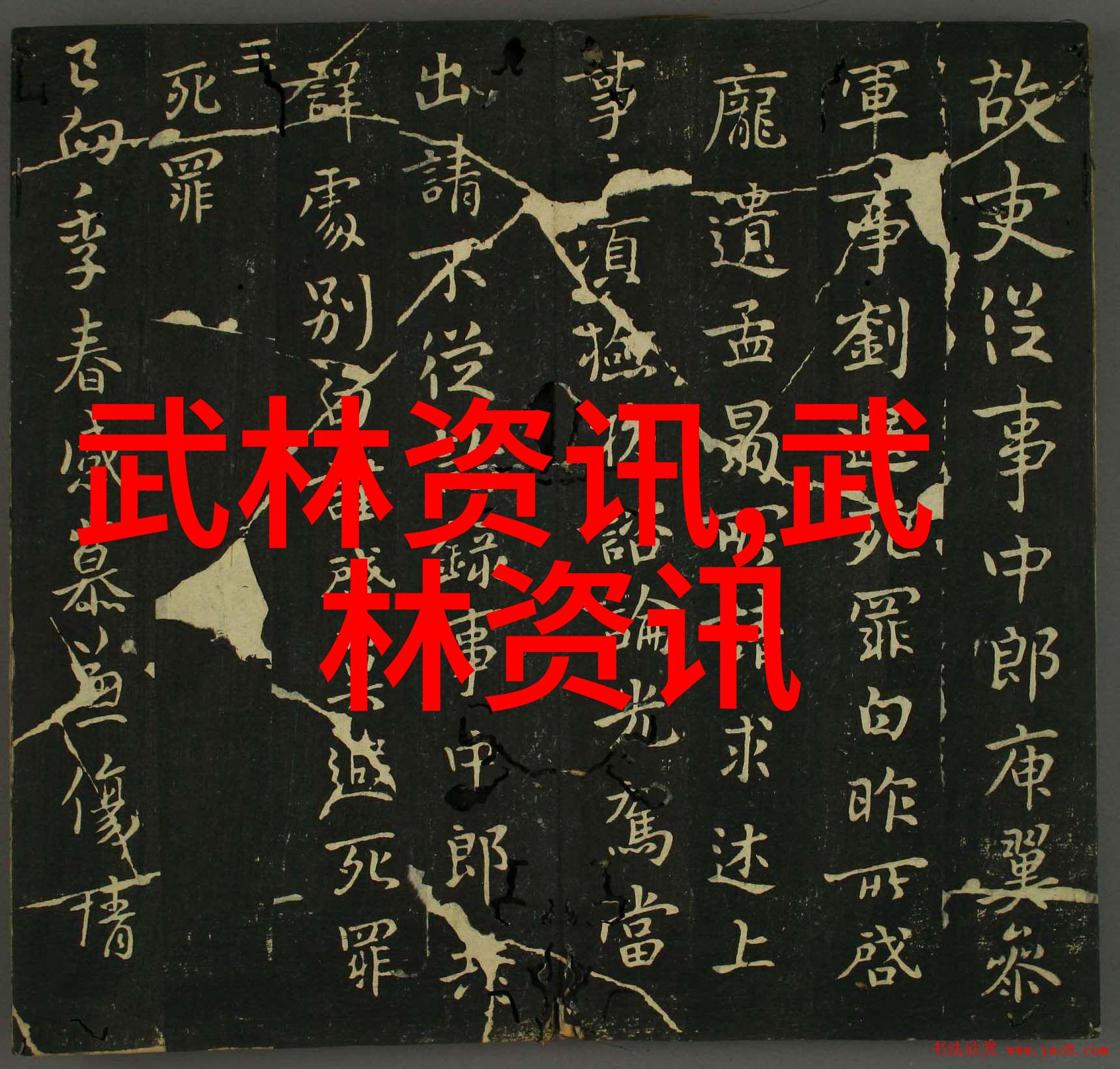 24式太极拳分解动作教学顺便探秘养生之道