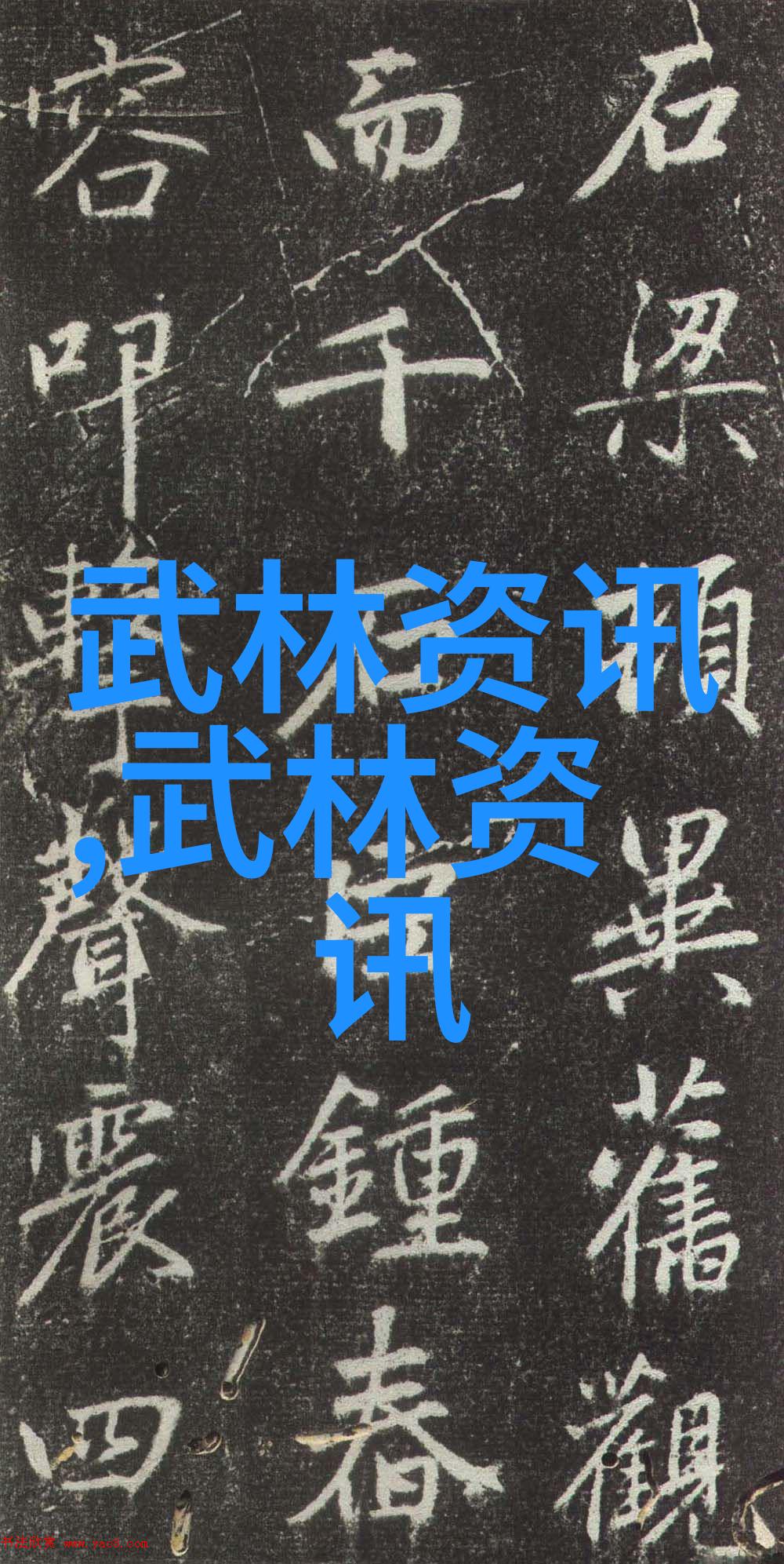 巴西BBABBABBABBA巴西的音乐节盛宴