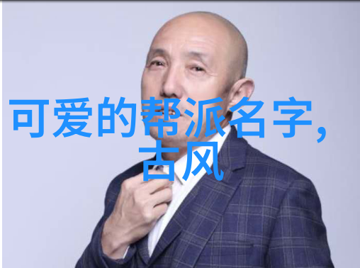 心灵共鸣南派太极拳中国武术流派中的精髓之作