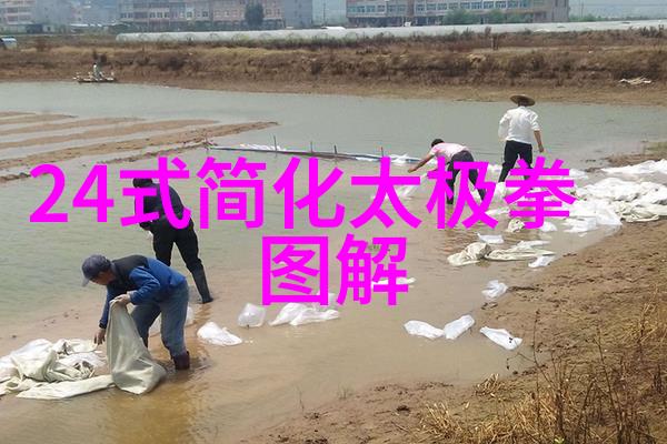 屠龙记中的二十一个门派武林秘密与江湖纷争