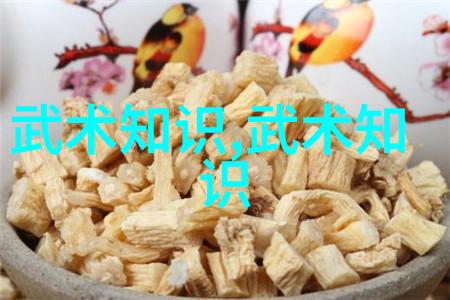 预备式与起势咏春拳法在自然之中