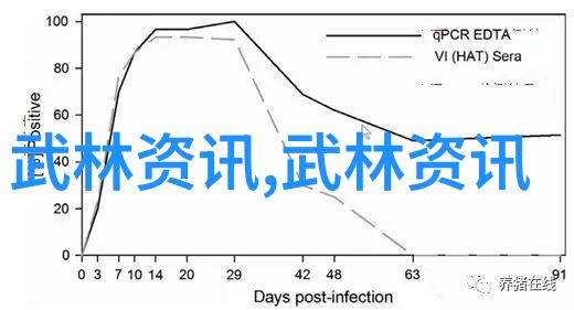 传统与创新十三式太极拳在现代实践中的应用