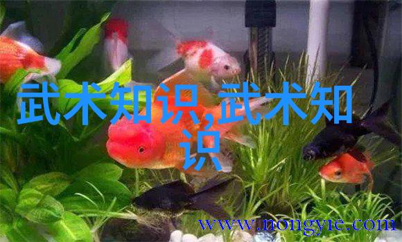 一拳打断砖得练多久老王的武功秘籍