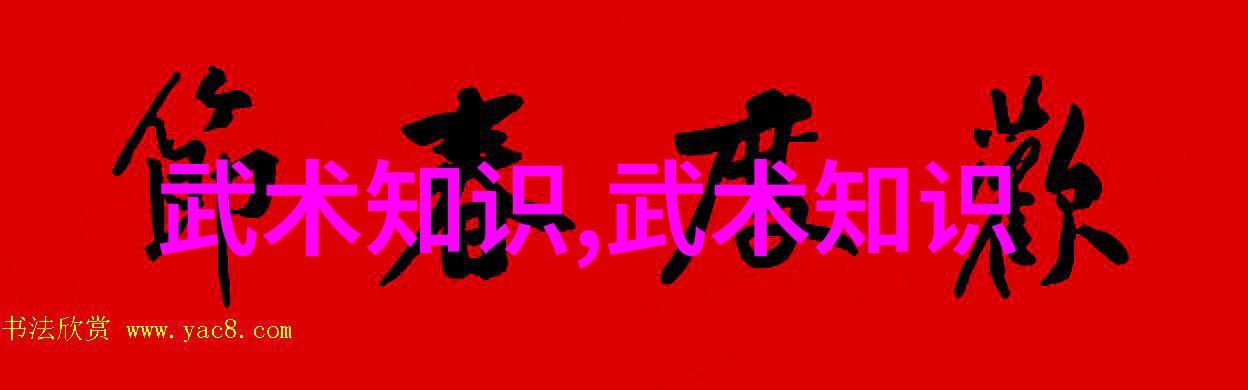 中华武林秘笈探索中国传统武术拳法的精髓与奥义