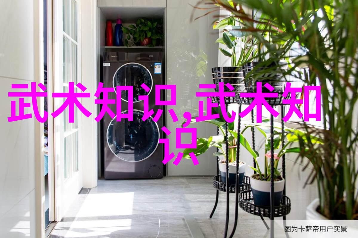 少林武术之巅铁掌金箍棒的绝学