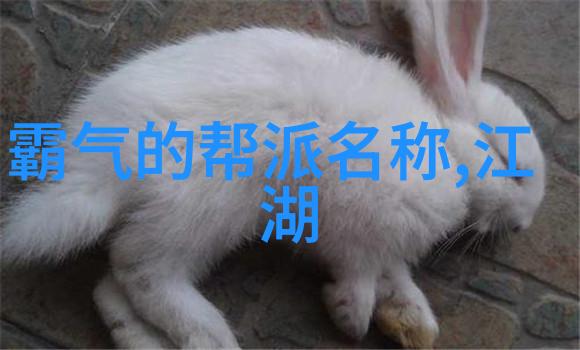 弗鲁姆在飞鸽自行车的助力下像疾风暴雨般狂飙下坡夺得环法第八赛段冠军