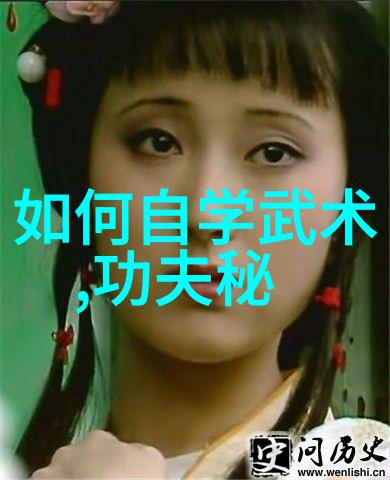 武林秘籍招式大全带图咱的武学之路揭秘那些让人叹为观止的招式