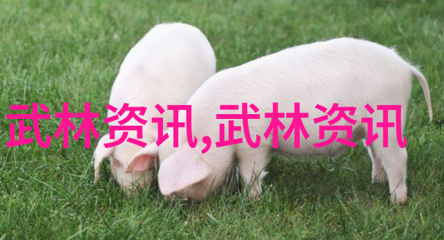 探究响亮霸气帮派名称的学术意义及其对现代文化影响的分析