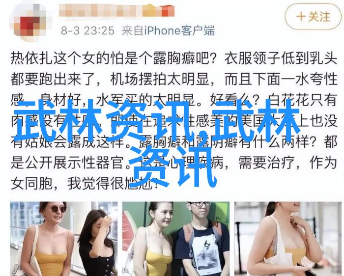 中国武术的丰富传统与实战技巧