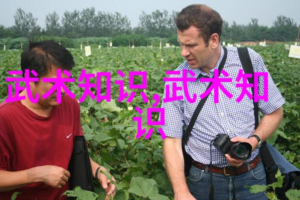 武学秘籍集成内涵深厚的武功基础