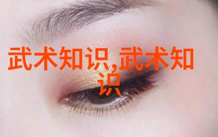 李小龙功夫秘籍空手破拳