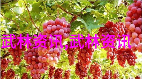 意境古朴高雅的店名-沉淀岁月寻访那些意境古朴高雅的店铺