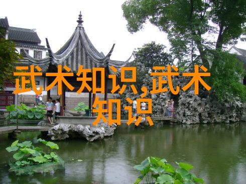 中国武术的古韵揭秘传统拳法之美