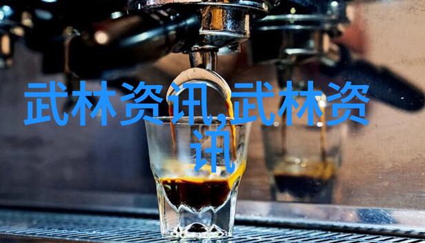 功夫秘籍教学我的武林启蒙之路揭秘打造一流功夫的诀窍