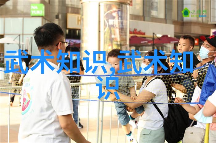 中国武林实力排行榜揭秘功夫门派的战斗力