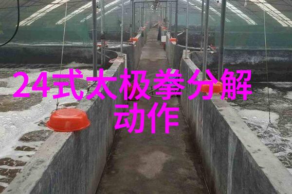 武功秘籍网磨步与碾步的智者终将分道扬镳