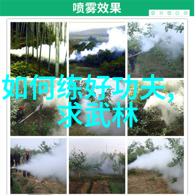 武林八大门派掌门人之争内部权力斗争如何影响整个武林格局
